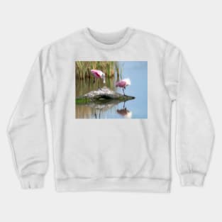 Roseate Spoonbills Resting Time Crewneck Sweatshirt